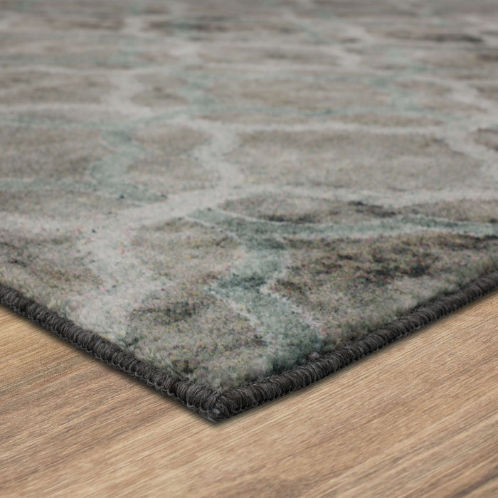 Technicolor Quatrafoil Gray Area Rug