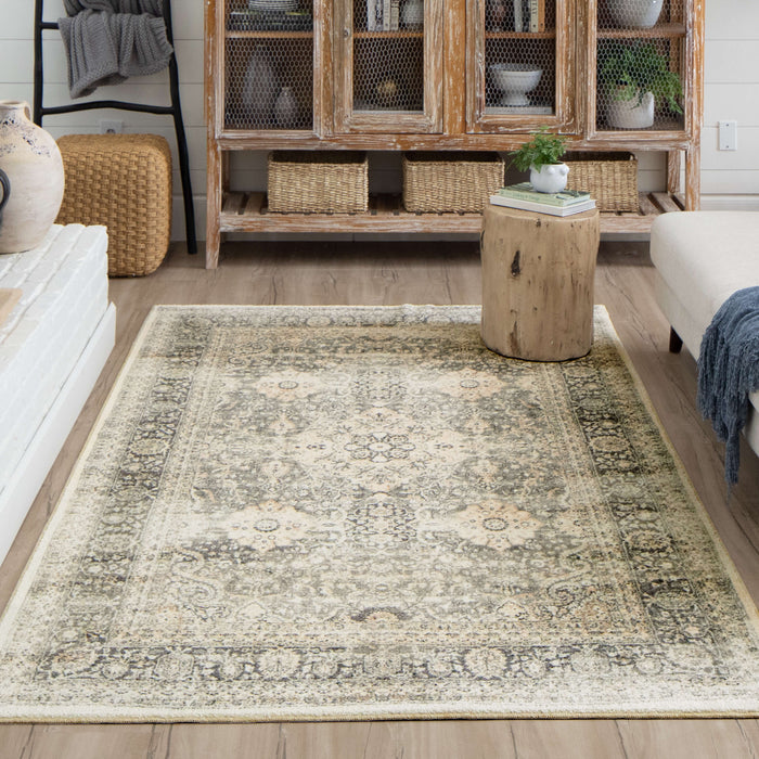 Technicolor Quinton Grey Area Rug