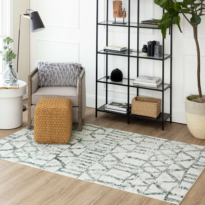 Technicolor Stell Grey Area Rug