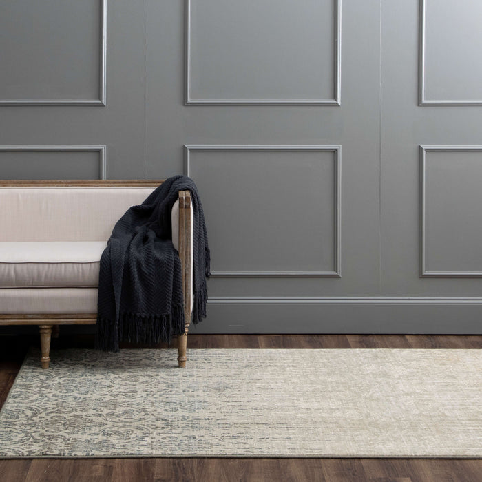 Karastan Titanium Tiberio Gray Area Rug