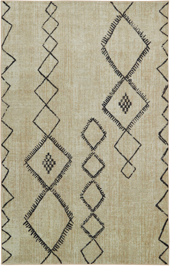 Area Rug