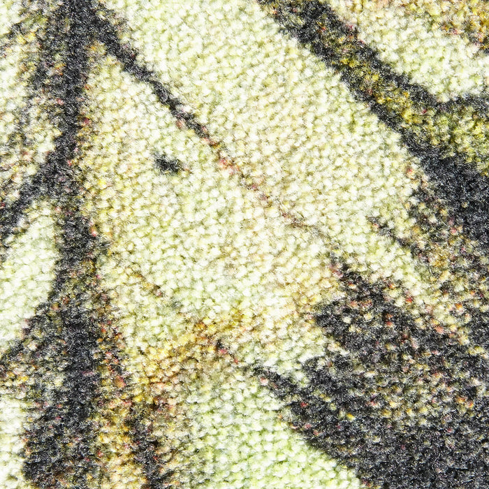 Fiber